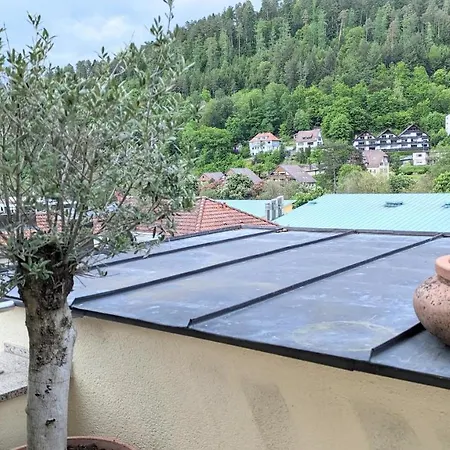 Wolkenfrei - Ankommen Und Zuhause Fuehlen - Apart-Vl Bad Liebenzell Esterno foto